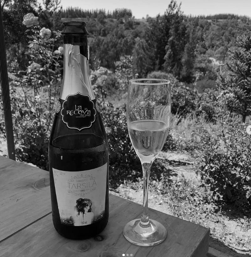Vino La Recova